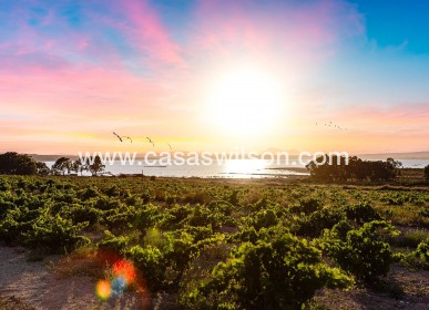 Sale - Bungalow - Torrevieja - La Siesta - El Salado - Torreta