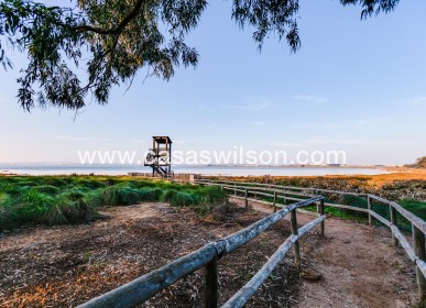 Sale - Bungalow - Torrevieja - La Siesta - El Salado - Torreta