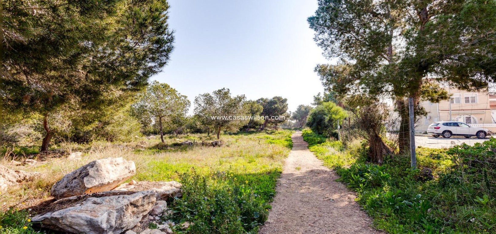 Sale - Bungalow - Torrevieja - La Siesta - El Salado - Torreta