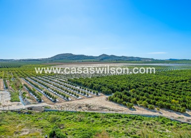 Sale - Apartment - Algorfa - Inland