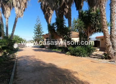 Sale - Villa - Dolores