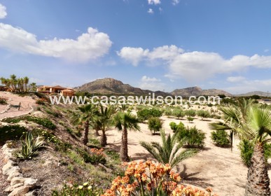 Sale - Country Property - Albatera
