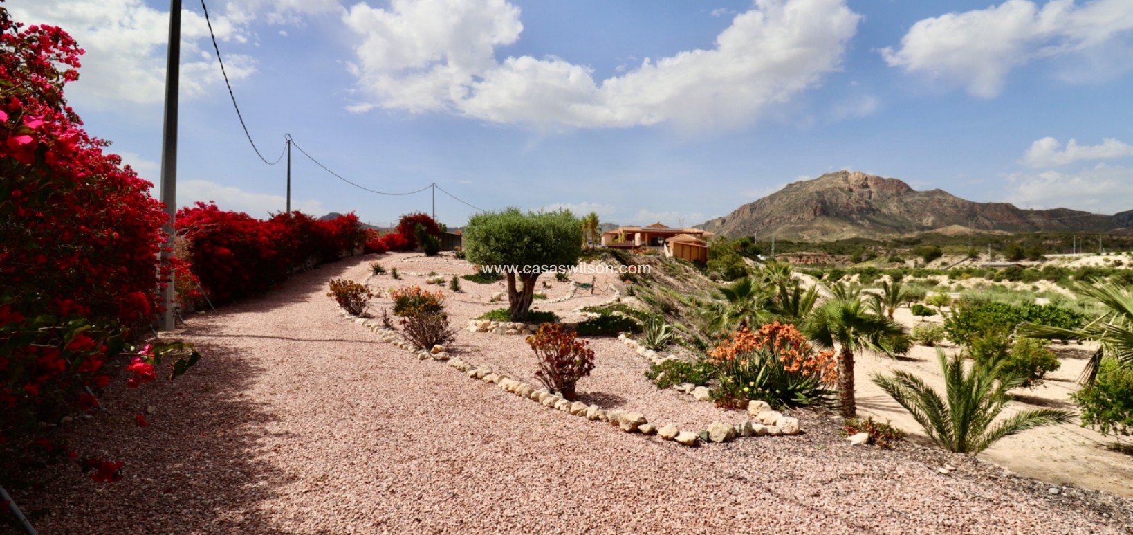 Sale - Country Property - Albatera
