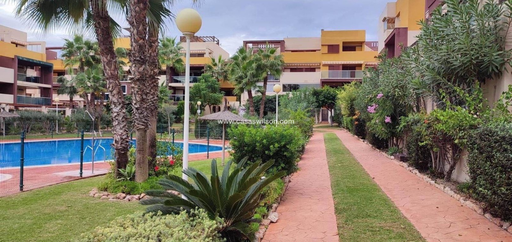 Venta - Apartamento - Orihuela Costa - Horizonte - La Campana