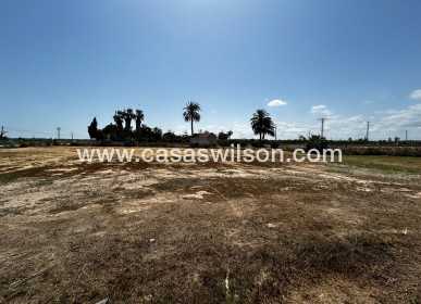 Sale - Plot of Land - San Miguel de Salinas - San Miguel Salinas