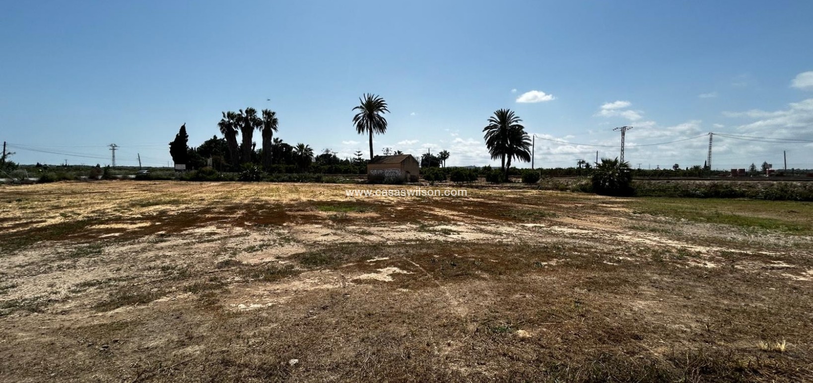 Sale - Plot of Land - San Miguel de Salinas - San Miguel Salinas