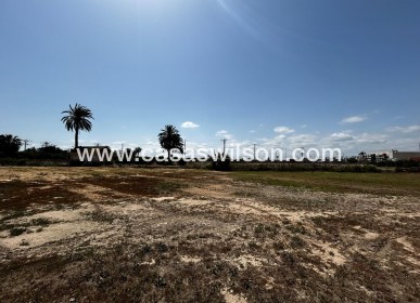 Sale - Plot of Land - San Miguel de Salinas - San Miguel Salinas