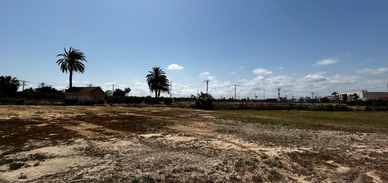 Sale - Plot of Land - San Miguel de Salinas - San Miguel Salinas