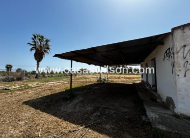 Sale - Plot of Land - San Miguel de Salinas - San Miguel Salinas