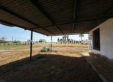 Sale - Plot of Land - San Miguel de Salinas - San Miguel Salinas