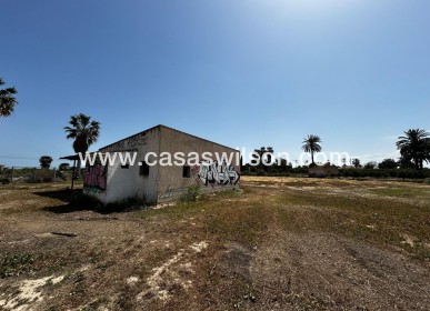 Sale - Plot of Land - San Miguel de Salinas - San Miguel Salinas