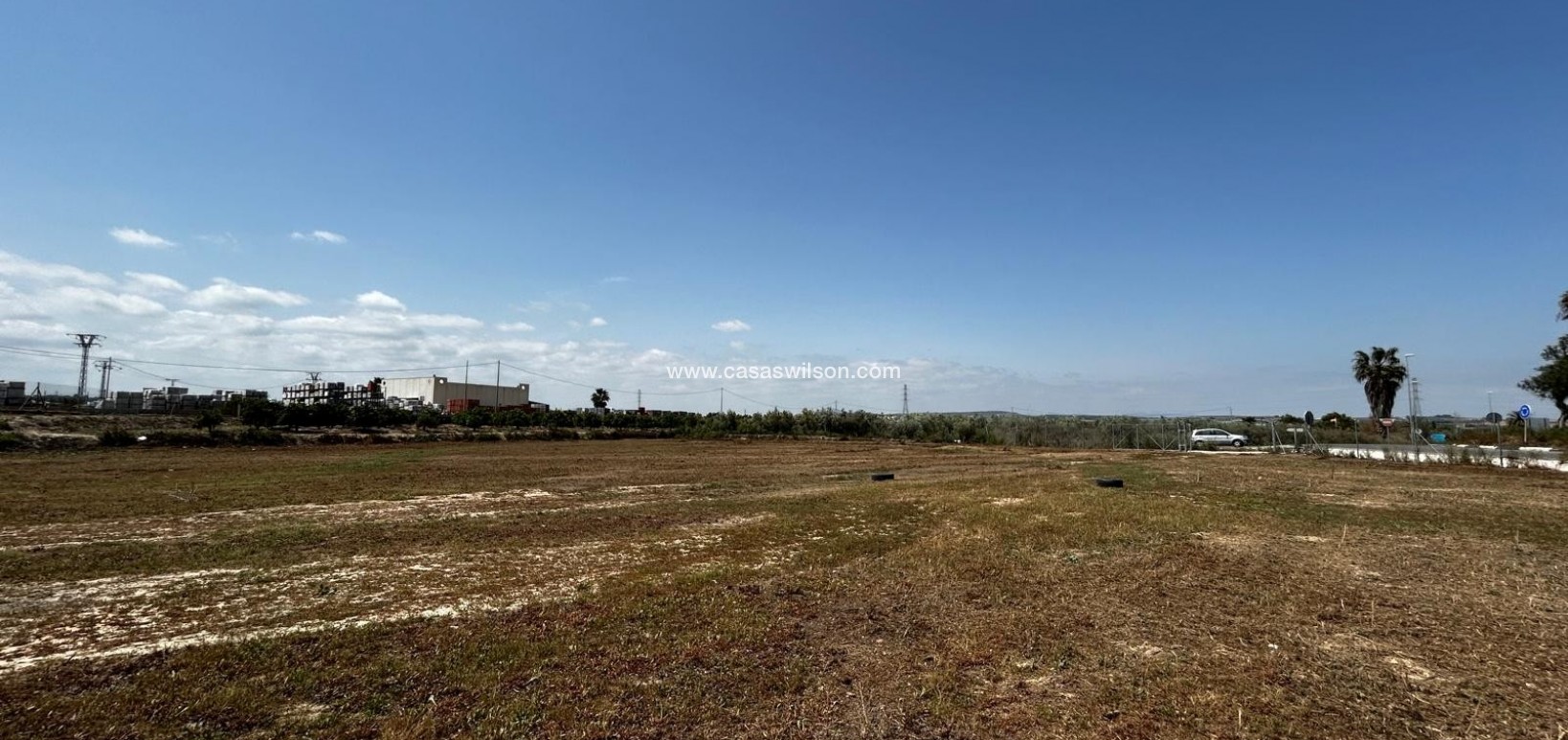 Sale - Plot of Land - San Miguel de Salinas - San Miguel Salinas