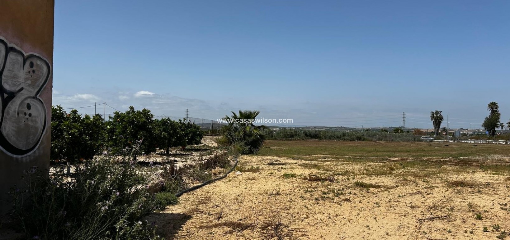 Sale - Plot of Land - San Miguel de Salinas - San Miguel Salinas
