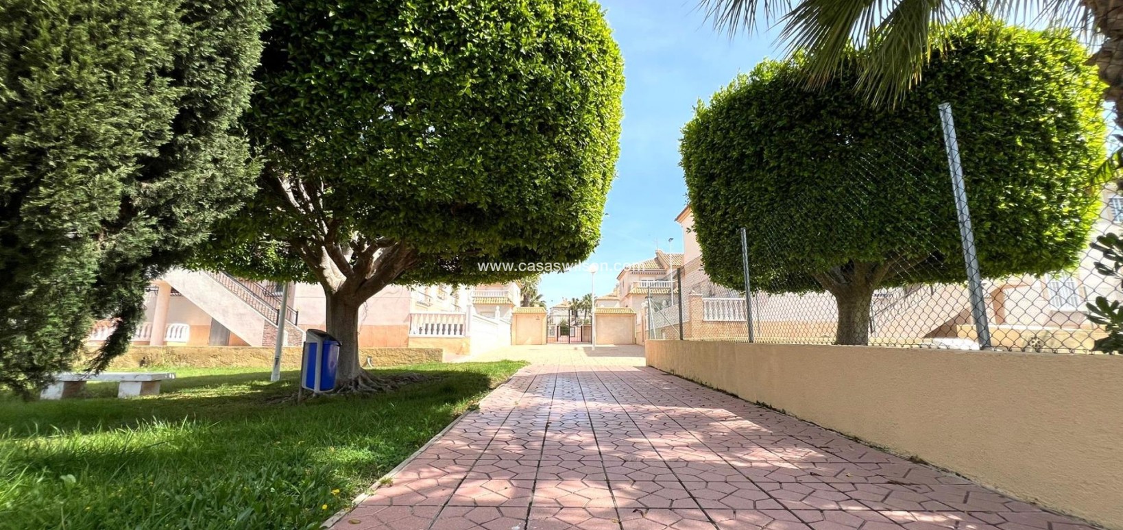 Sale - Bungalow - Torrevieja - Aguas Nuevas