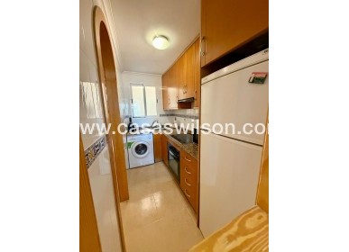 Sale - Villa - Torrevieja - Centro