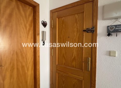 Sale - Apartment - Torrevieja - Acequion