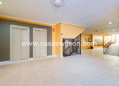 Venta - Apartamento - Torrevieja - Centro