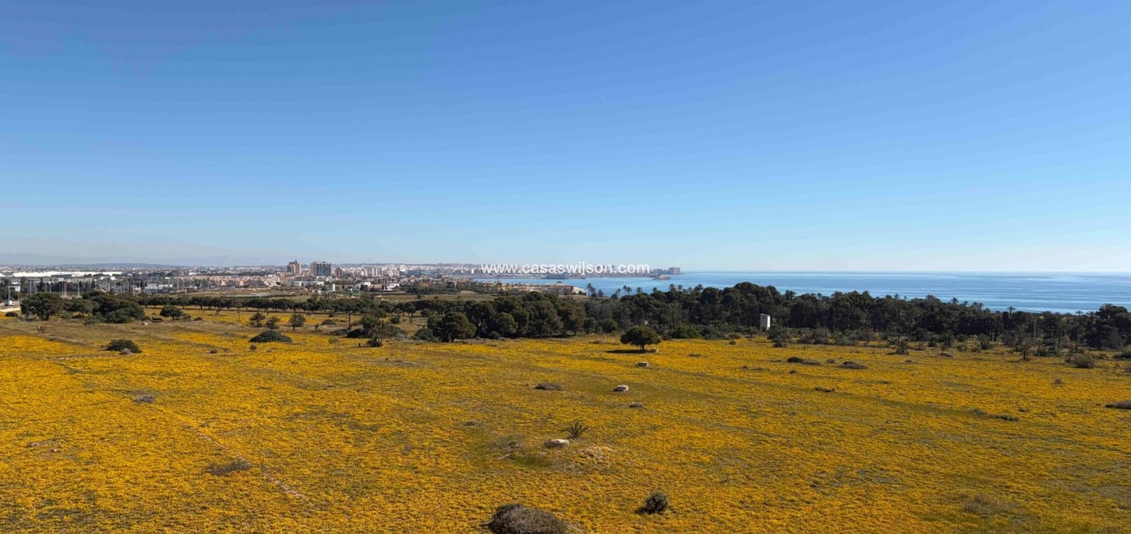 Sale - Apartment - Orihuela Costa - Costa Blanca