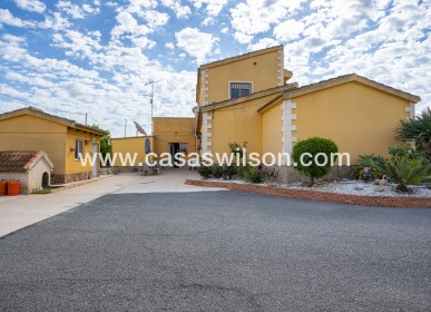 Sale - Villa - Elche - La Hoya