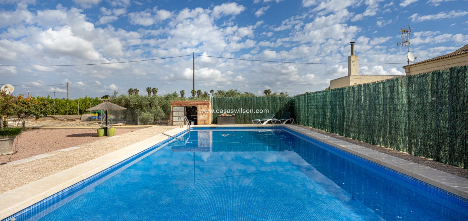 Sale - Villa - Elche - La Hoya