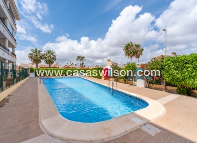 Sale - Apartment - Playa Flamenca - Costa Blanca