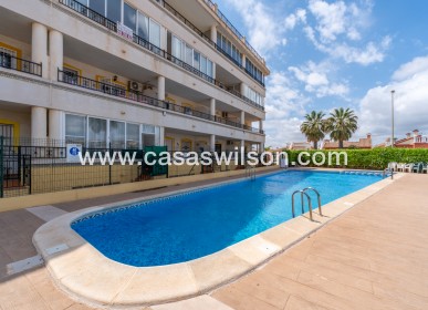 Sale - Apartment - Playa Flamenca - Costa Blanca