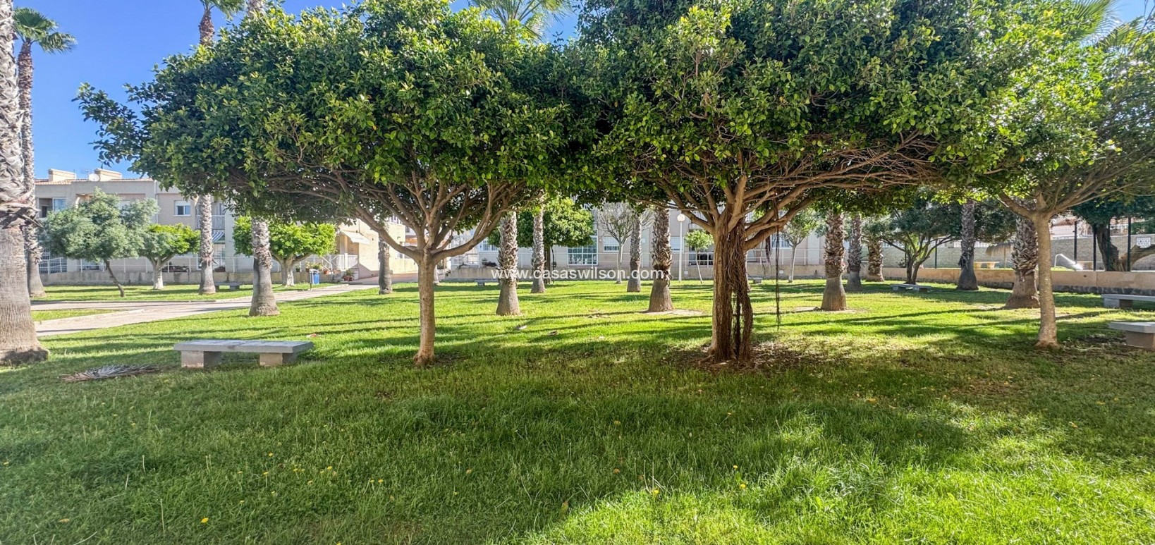 Sale - Apartment - Torrevieja - Costa Blanca