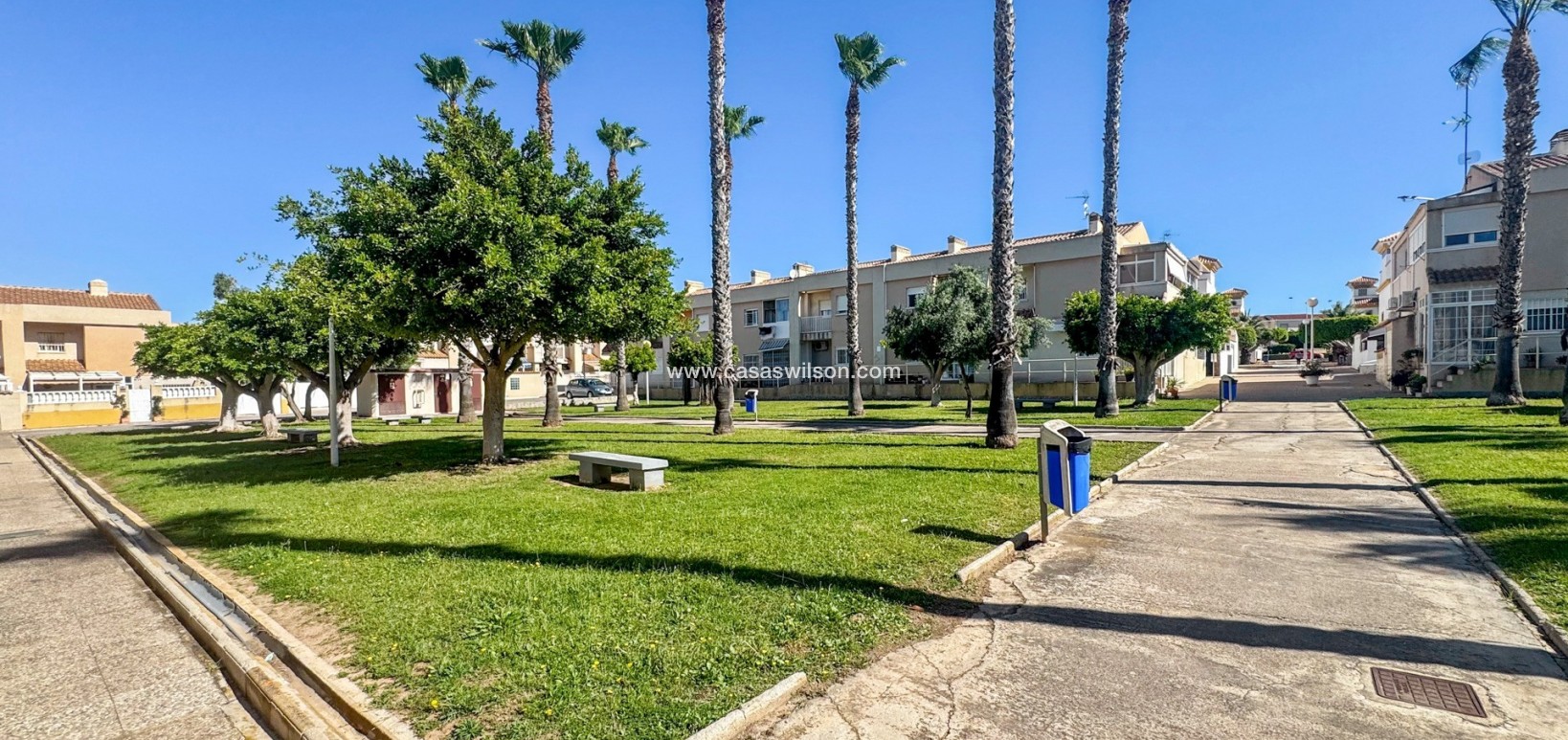 Sale - Apartment - Torrevieja - Costa Blanca