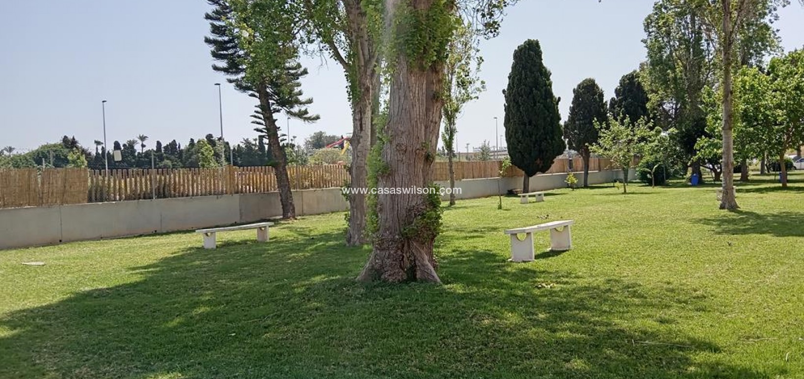 Sale - Apartment - Torrevieja - Carrefour