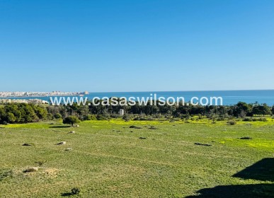 Sale - Apartment - Torrevieja - Punta prima