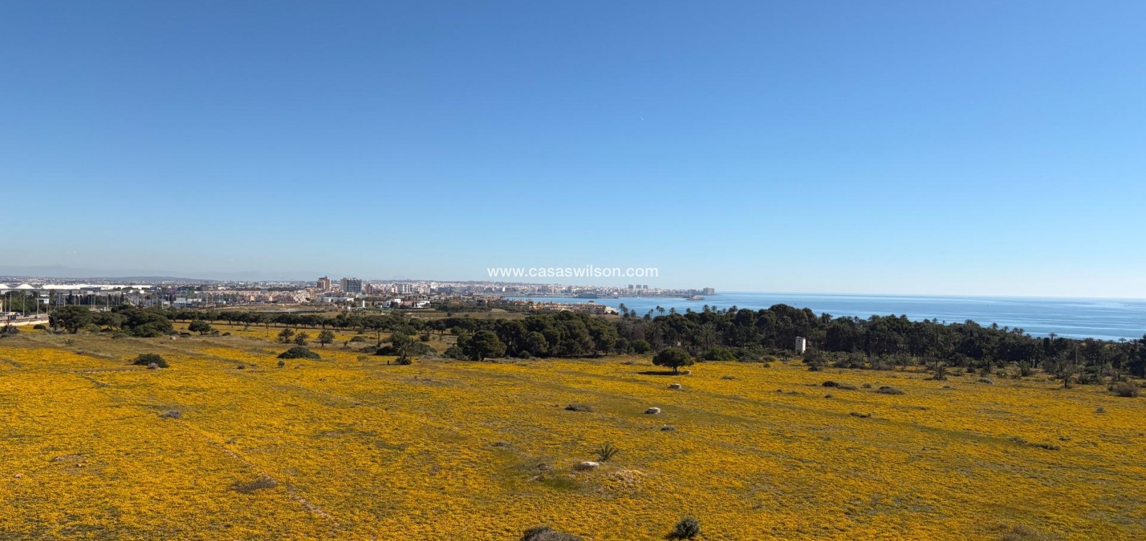 Sale - Apartment - Torrevieja - Punta prima