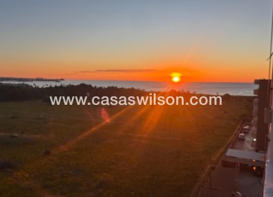 Sale - Apartment - Torrevieja - Punta prima
