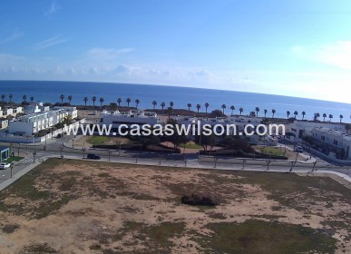 New Build - Bungalow - Pilar de la Horadada - La Torre de la Horadada