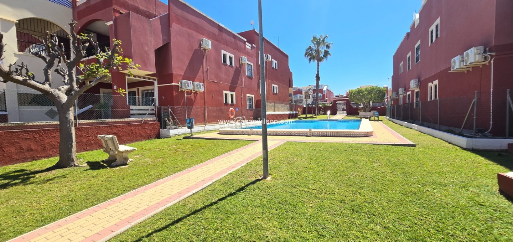 Sale - Apartment / Flat * - Orihuela Costa - Los Altos *