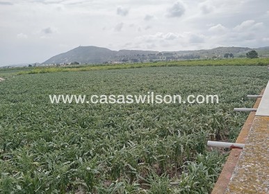 Sale - Country Property/Finca - Orihuela - BUENA VIDA DESAMPARADOS