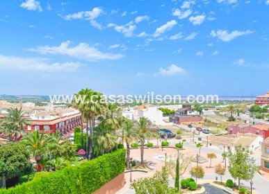 Sale - Apartment - San Miguel de Salinas - Inland
