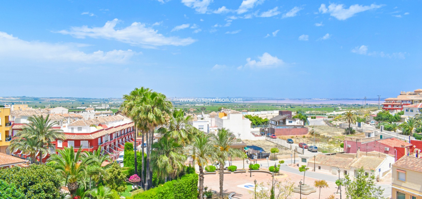 Sale - Apartment - San Miguel de Salinas - Inland
