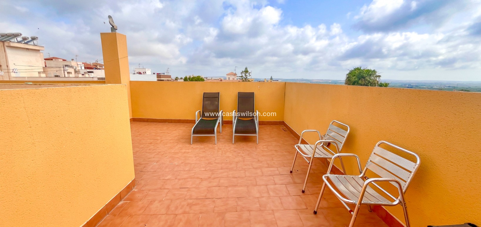 Sale - Apartment - San Miguel de Salinas - Inland