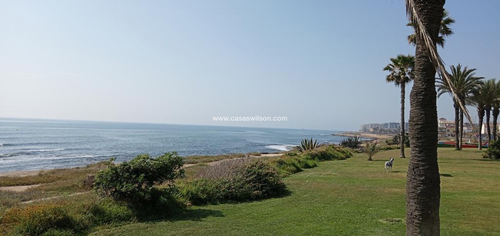 Sale - Apartment - Torrevieja - MAR AZUL LA VELETA