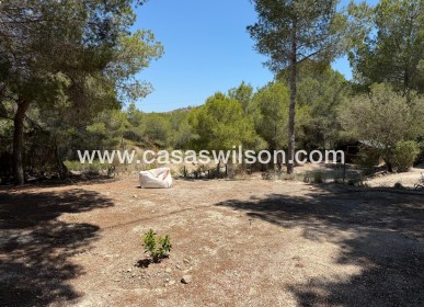 Sale - Country Property/Finca - Orihuela - Torremendo