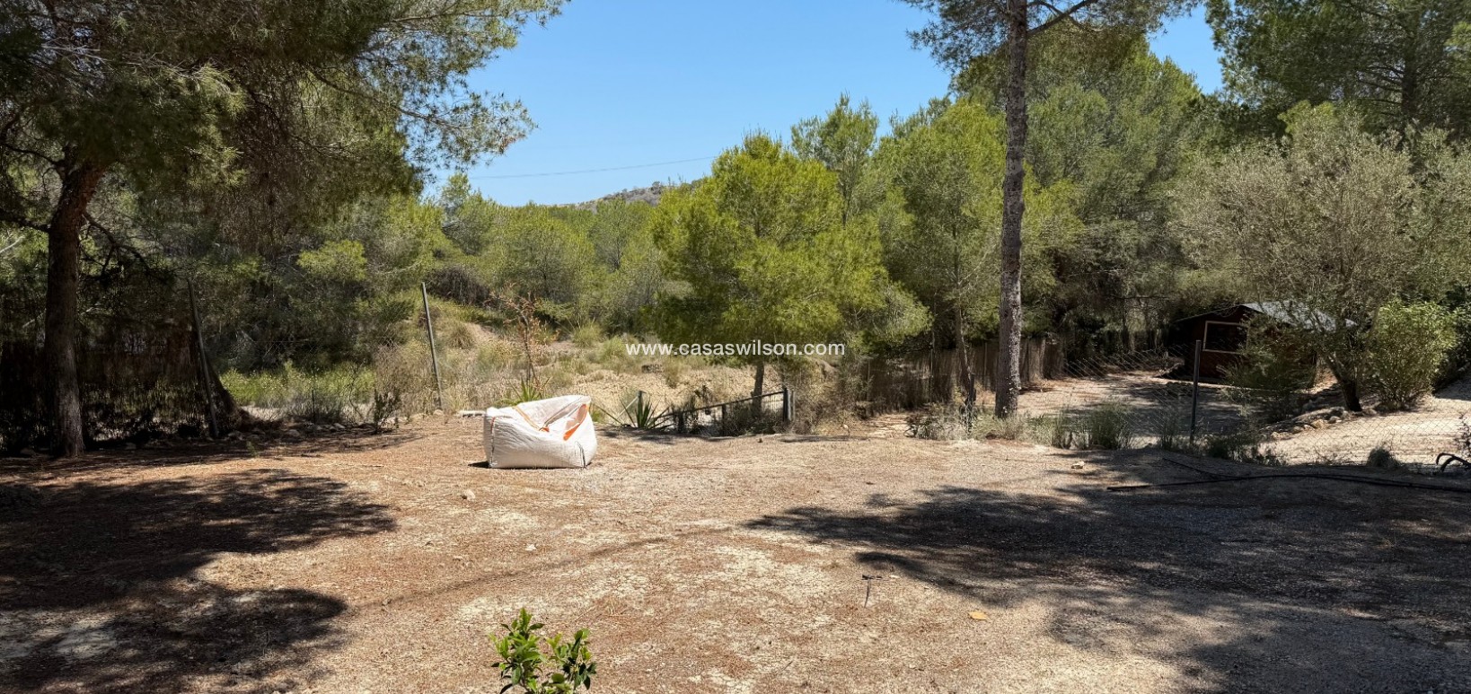 Sale - Country Property/Finca - Orihuela - Torremendo