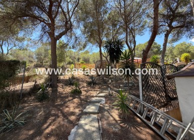 Sale - Country Property/Finca - Orihuela - Torremendo