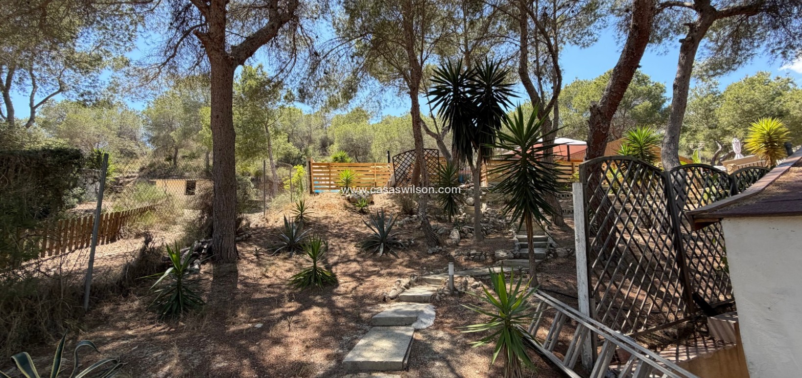 Sale - Country Property/Finca - Orihuela - Torremendo