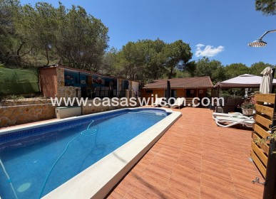 Sale - Country Property/Finca - Orihuela - Torremendo