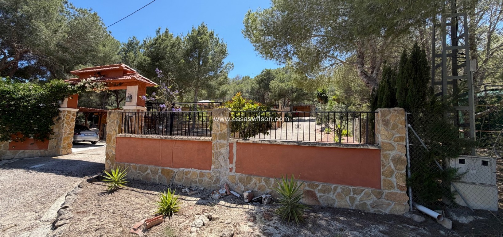 Sale - Country Property/Finca - Orihuela - Torremendo