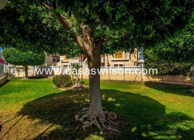 Sale - Townhouse - Torrevieja - Los Altos