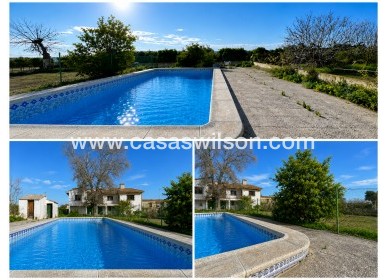 Sale - Villa - Benejúzar - Inland