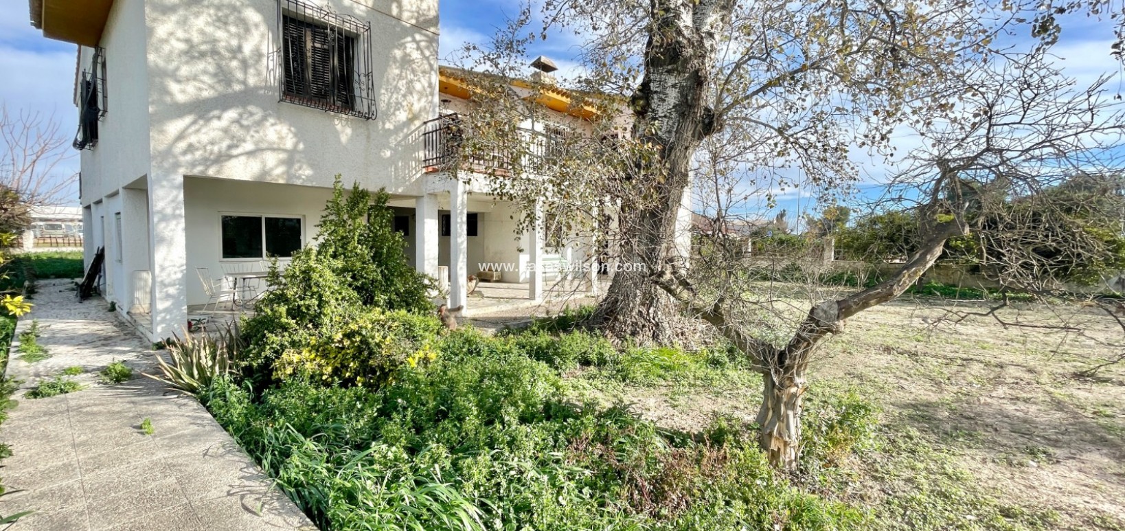 Sale - Villa - Benejúzar - Inland