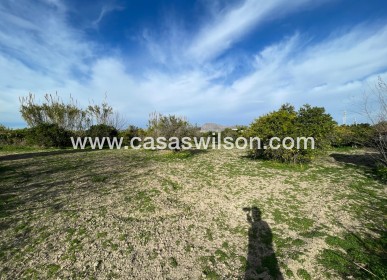 Sale - Villa - Benejúzar - Inland