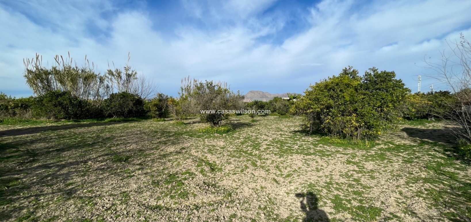 Sale - Villa - Benejúzar - Inland